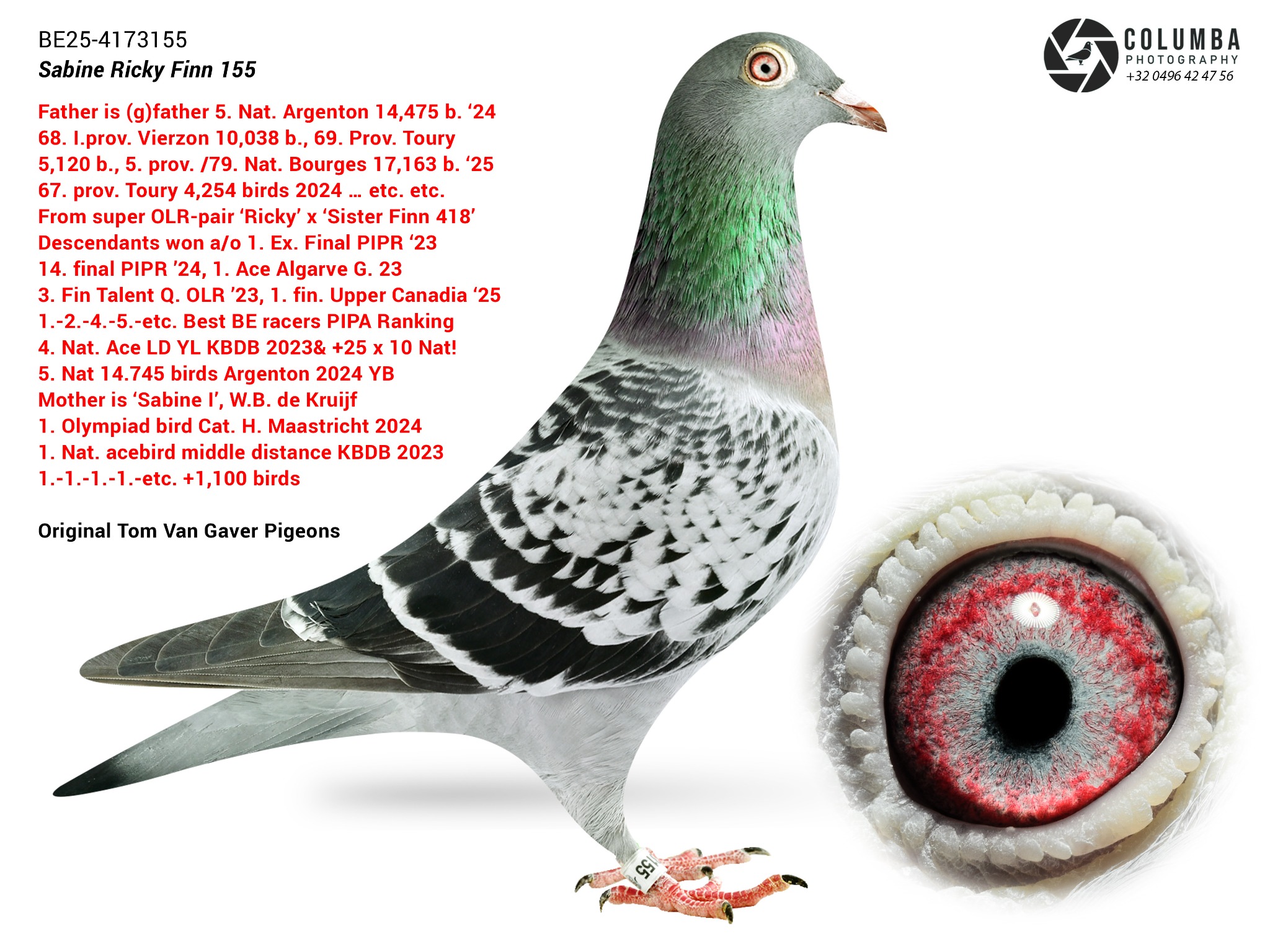 Sabine Ricky Finn 155